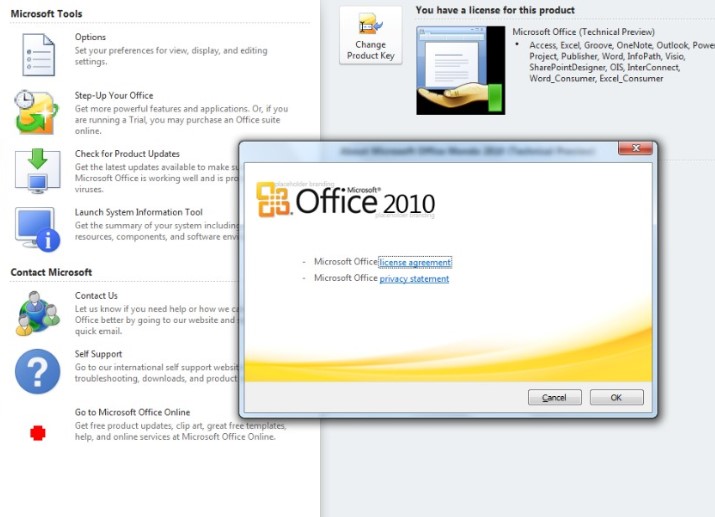 Download Office 2010 Professional  Key 